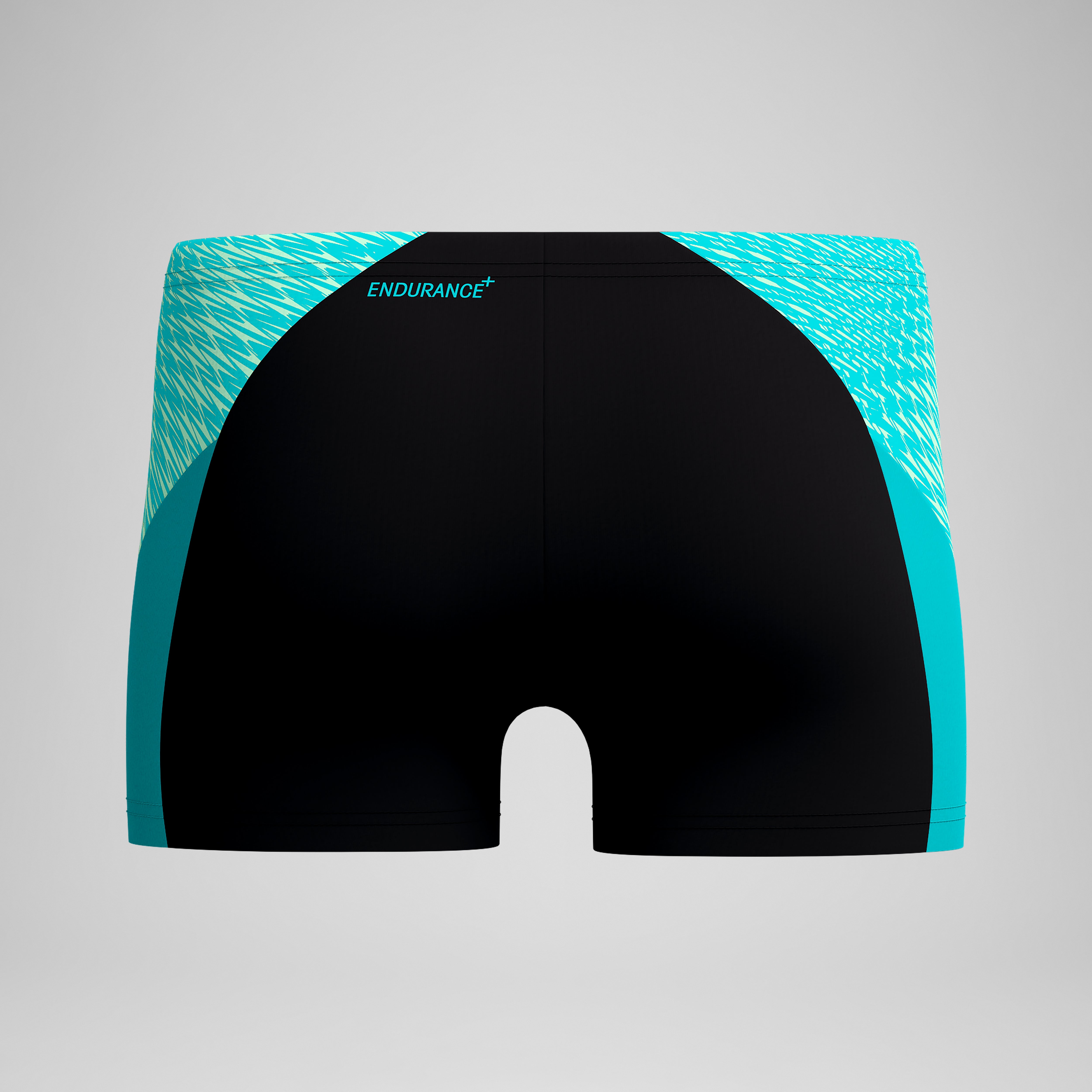 Men's Endurance+ MAX Splice Aquashorts Black/Turquoise | Speedo