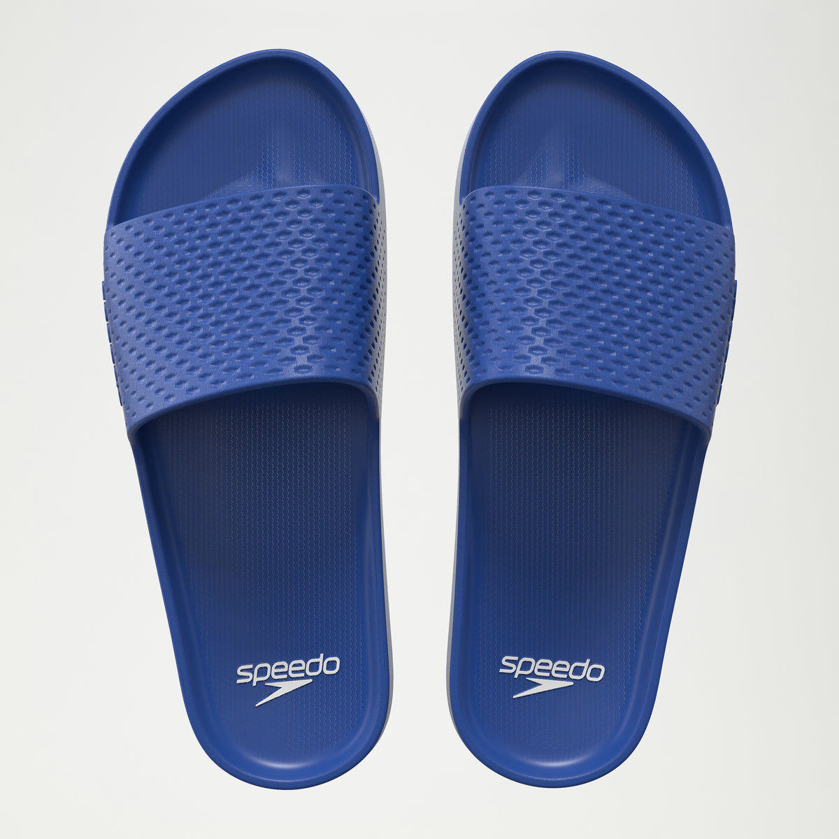 Entry Slides
