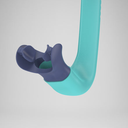 Adult Bullet Head Snorkel Turquoise