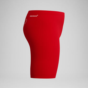 Boys Endurance+ Logo Jammer Red